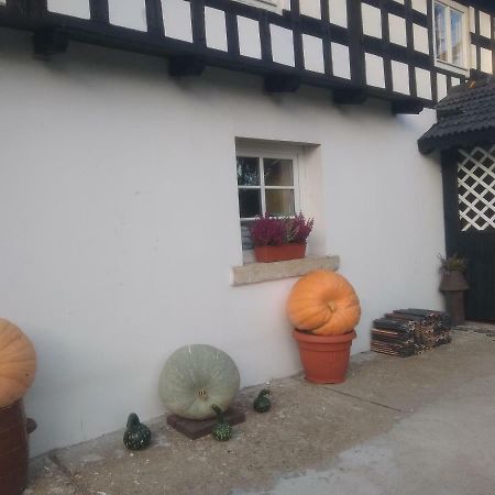 Noclegi U Anny Boleslawiec  Exterior photo